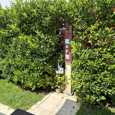 Luxury Panoramic In *