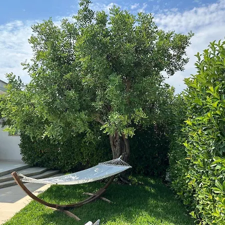 Luxury Panoramic In Villa