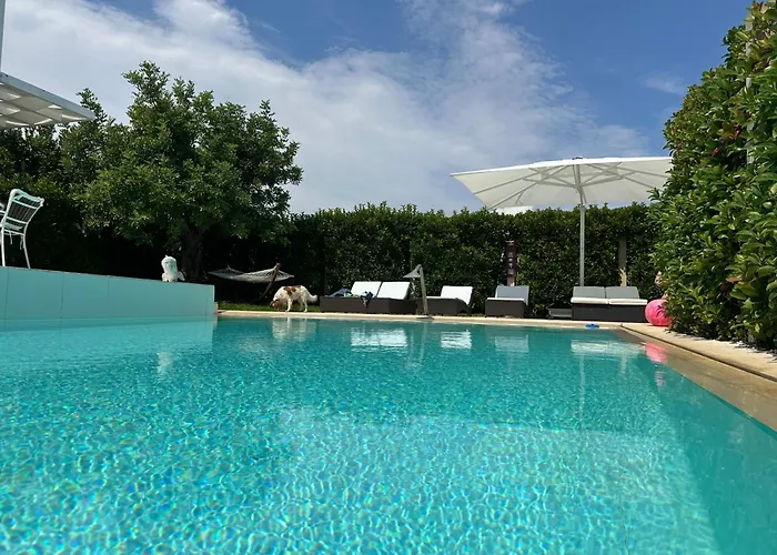 Luxury Panoramic In *