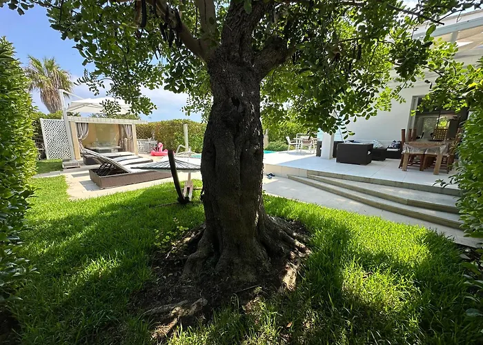 Luxury Panoramic In *