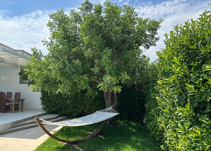 Luxury Panoramic In 别墅